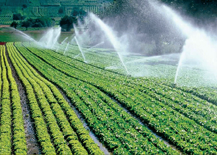 The Process of Treating Wastewater for an Agricultural Farm