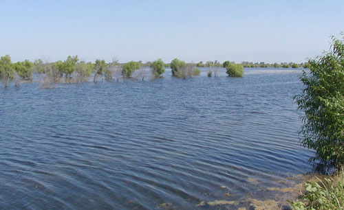 What Is Groundwater Banking?