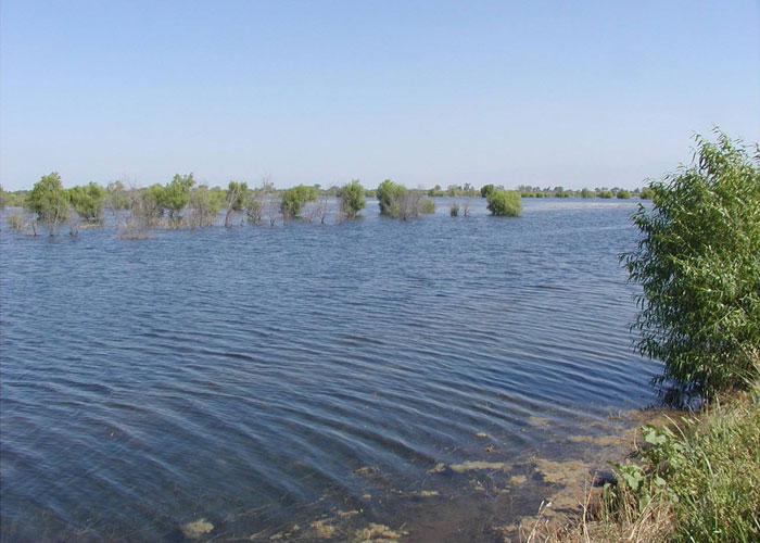 What Is Groundwater Banking?