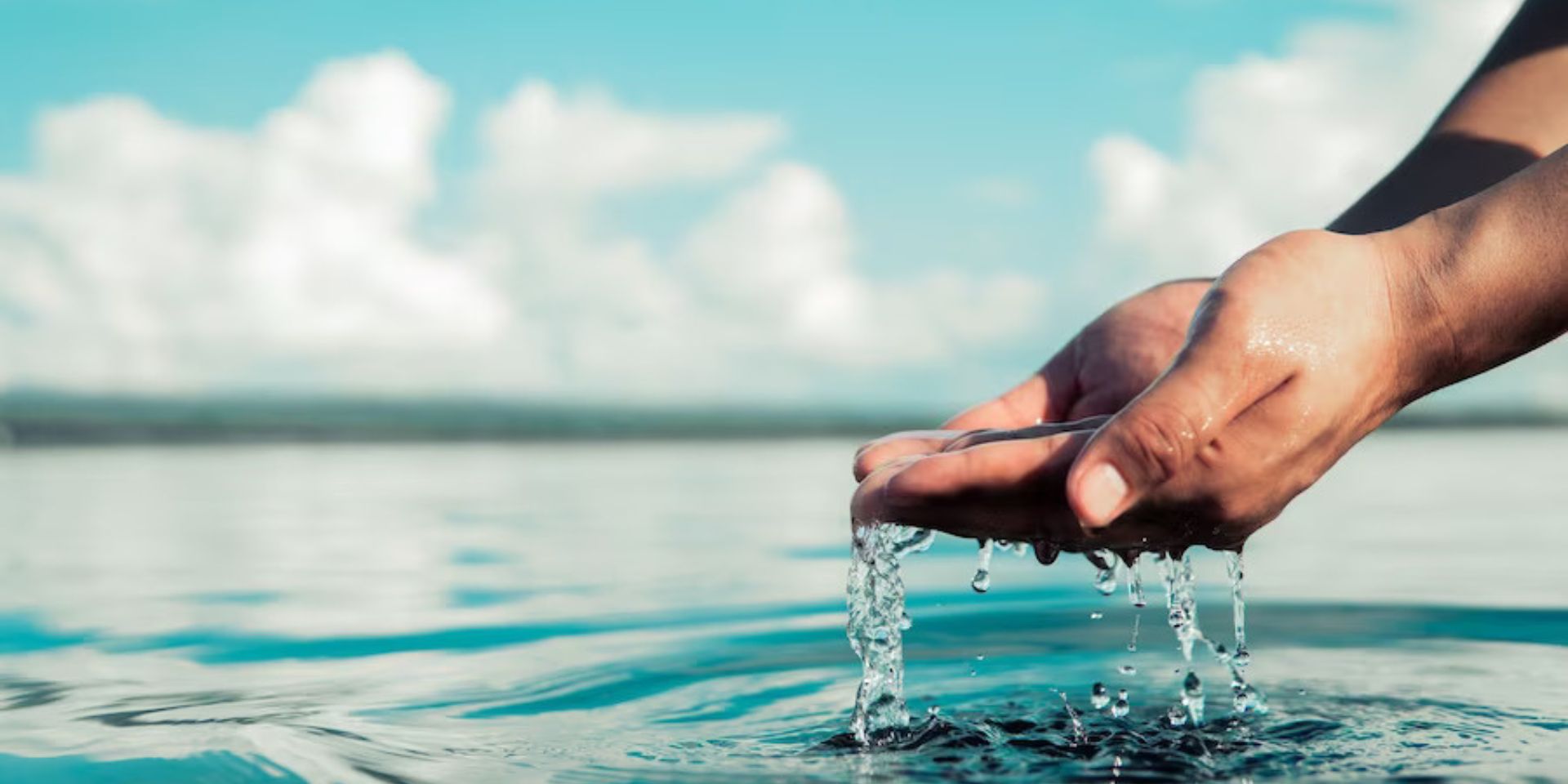 stp plant Manufacturer