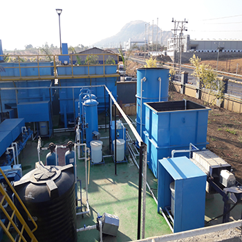 stp plant Manufacturers